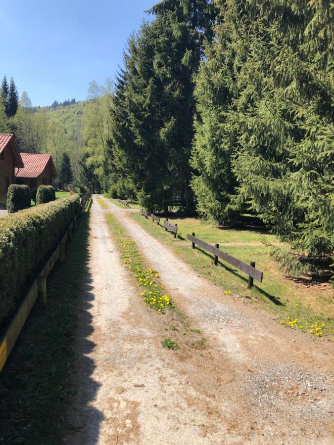 Ferienhaeuser Am Waldschloesschen Lautenthal Buitenkant foto