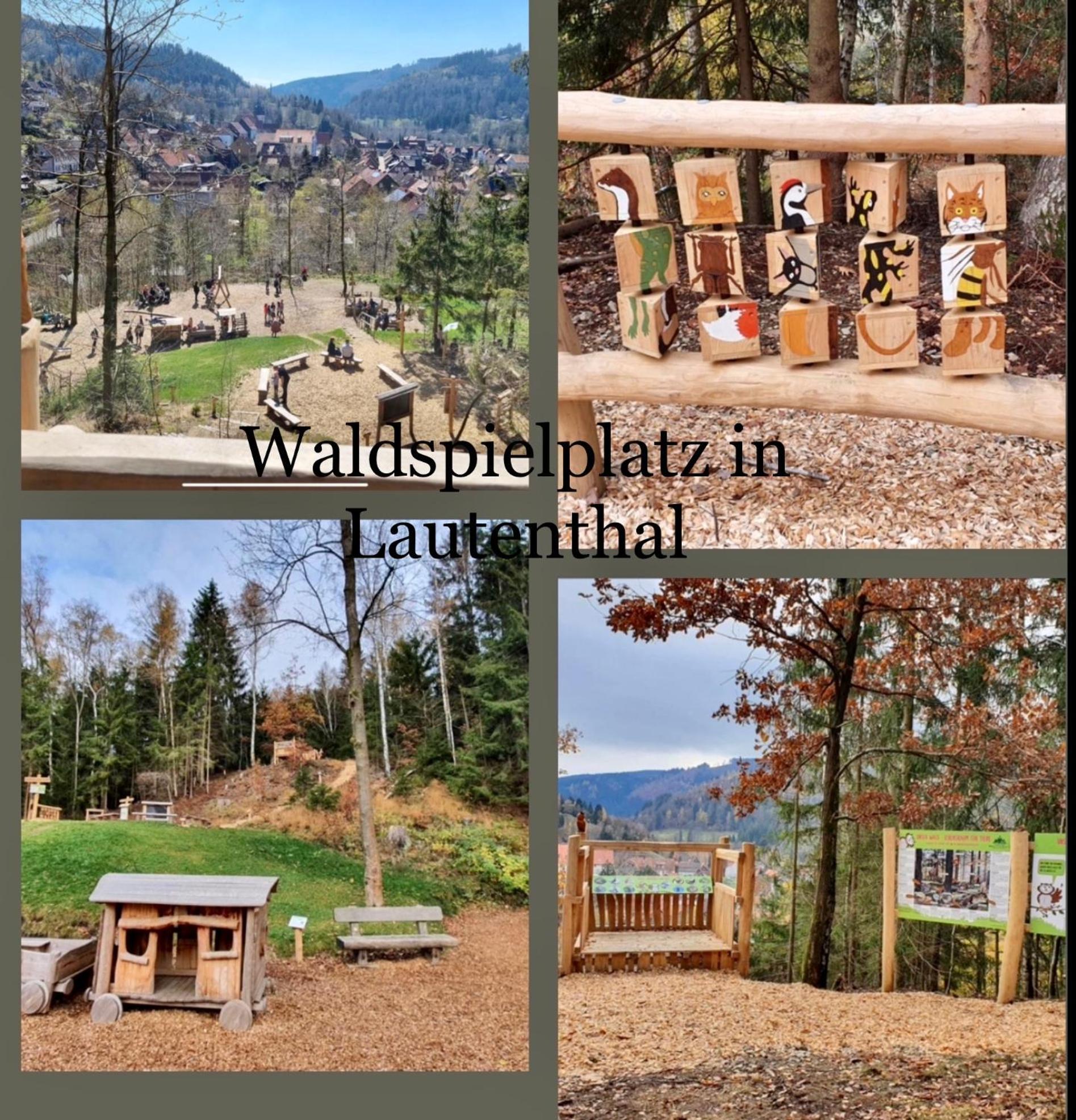 Ferienhaeuser Am Waldschloesschen Lautenthal Buitenkant foto