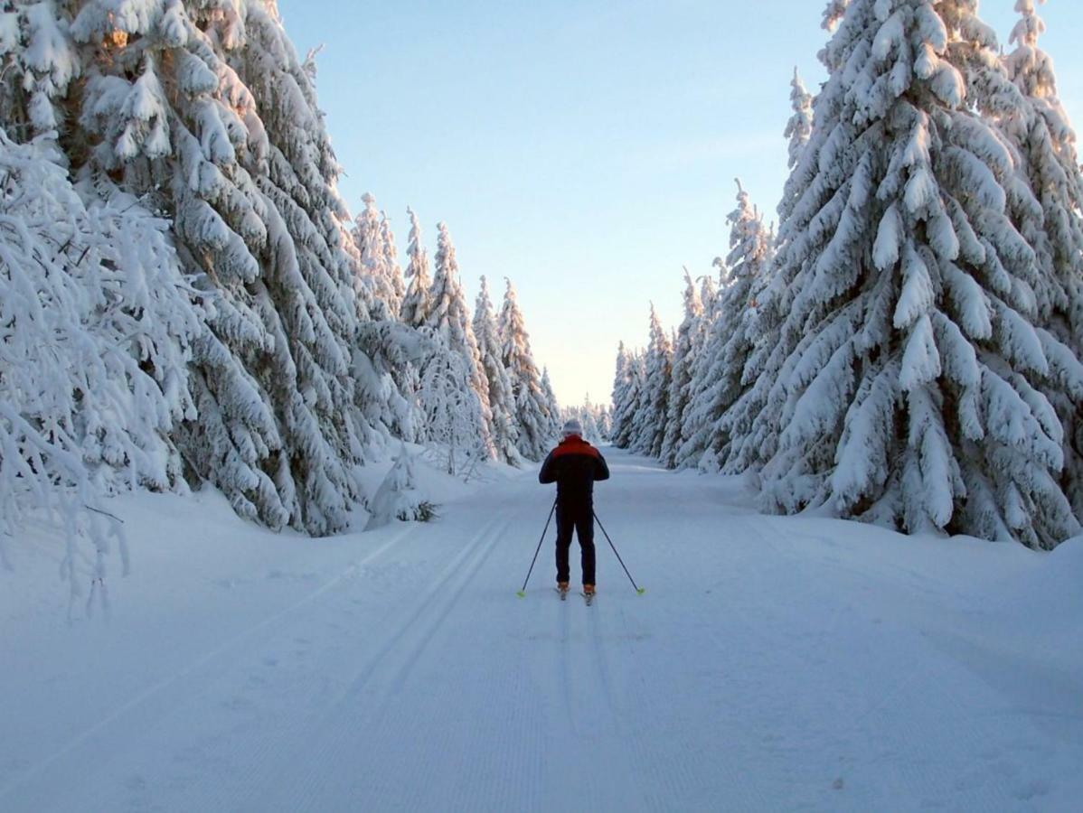 Ferienhaeuser Am Waldschloesschen Lautenthal Buitenkant foto